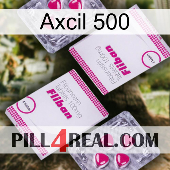 Axcil 500 33.jpg